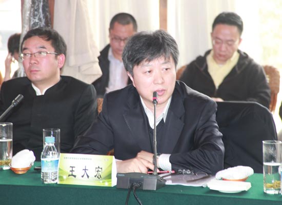 行业专家  王大宏先生