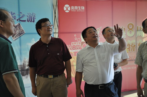 直销专业网,炎帝