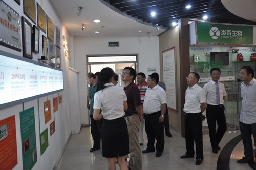 直销专业网,炎帝