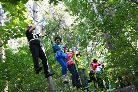 直销专业网,华星系统,李岩松