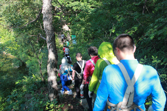 直销专业网,华星系统,李岩松