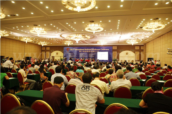 直销专业网,陈惠