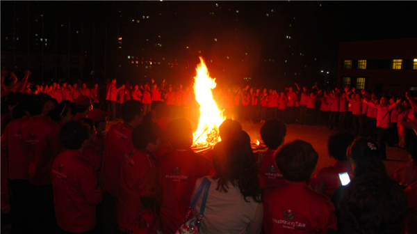 直销专业网,华星系统,3周年,国际市场