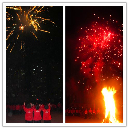 直销专业网,华星系统,3周年,国际市场