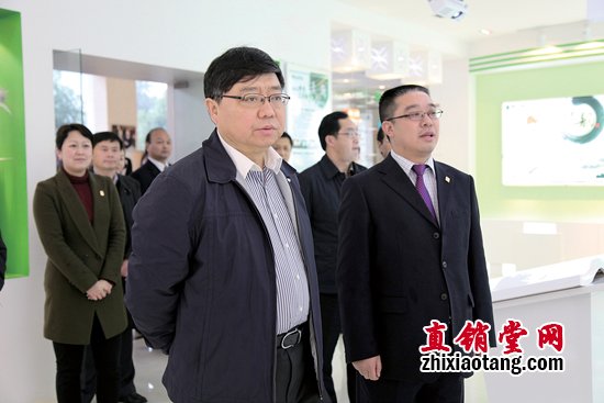 直销专业网,绿之韵