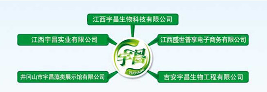 直销堂网,宇昌集团