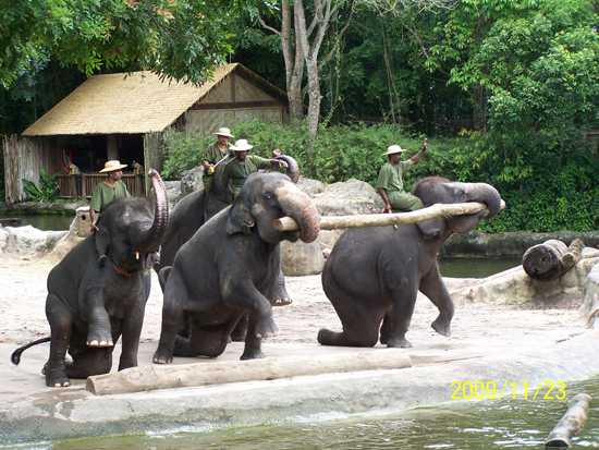 直销企业大规模奖励旅游背后的思考：是消遣还是形式？