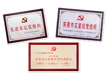 太阳神网络党建先后获得多项荣誉称号