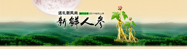 直销堂网,康美,新鲜人参,康美之恋