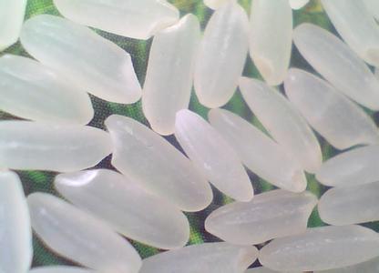 响水大米资料图