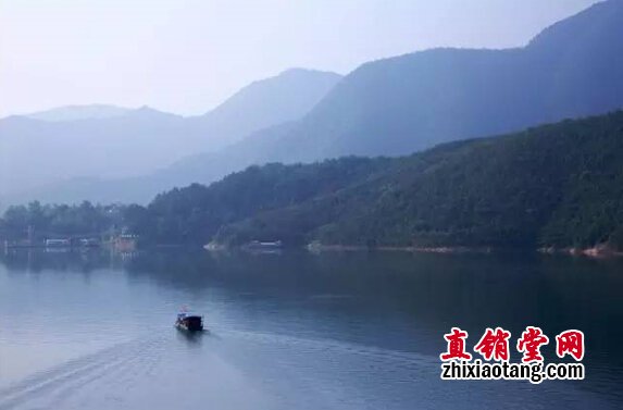 直销专业网,无限极,央视,基地,灵芝