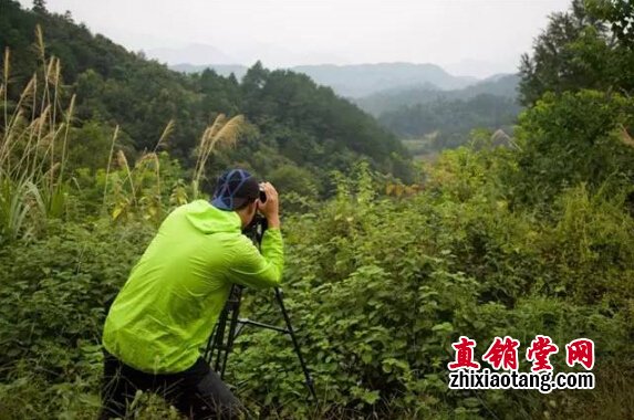 直销专业网,无限极,央视,基地,灵芝