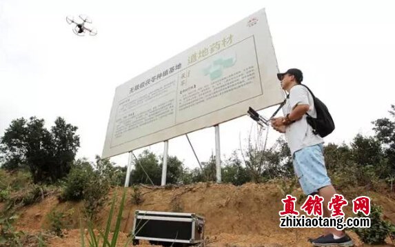 直销专业网,无限极,央视,基地,灵芝