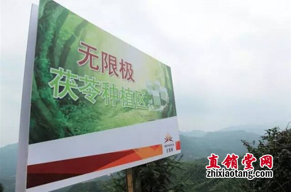 直销专业网,无限极,央视,基地,灵芝