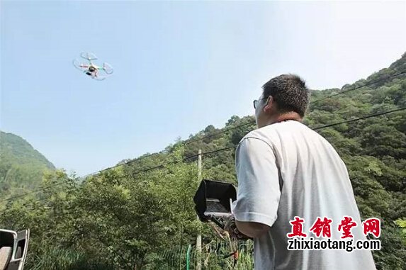 直销专业网,无限极,央视,基地,灵芝