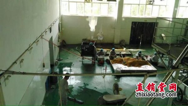 山西九龙生物科技有限公司涉嫌传销3