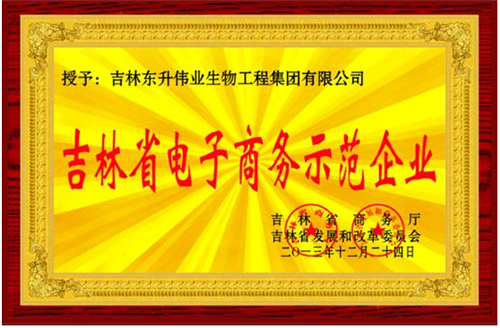 东升伟业2015年8亿电商业绩获吉林日报称赞