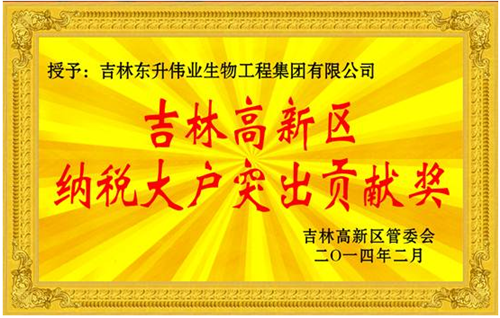 东升伟业2015年8亿电商业绩获吉林日报称赞
