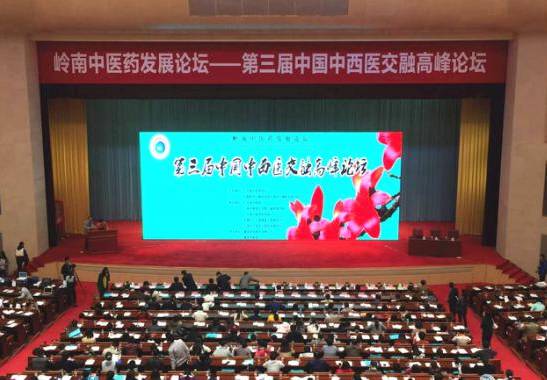 康美药业协办第三届中西医交融高峰论坛