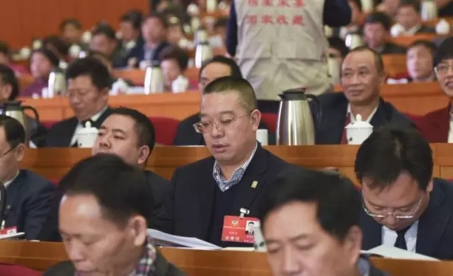 绿之韵胡国安获政协湖南省委员会“优秀提案”表彰