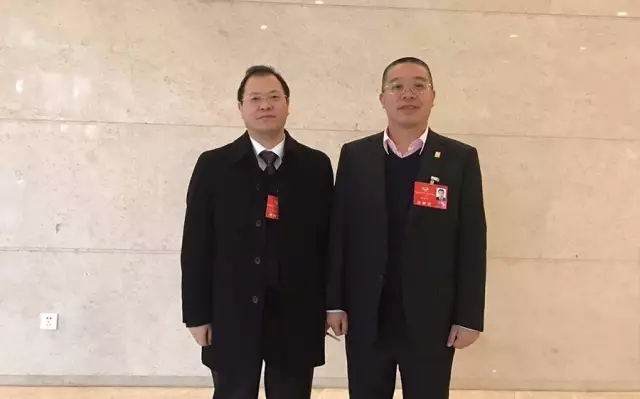 绿之韵胡国安获政协湖南省委员会“优秀提案”表彰