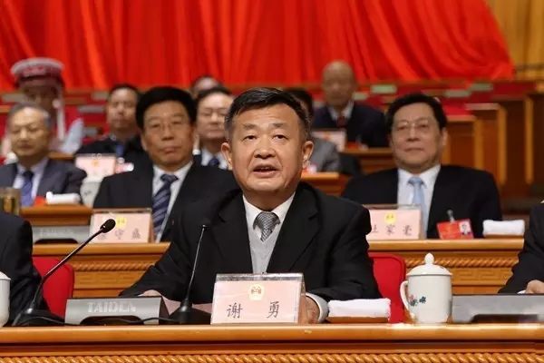 绿之韵胡国安获政协湖南省委员会“优秀提案”表彰