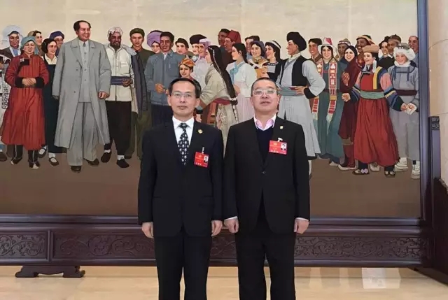 绿之韵胡国安获政协湖南省委员会“优秀提案”表彰