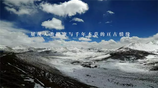 康美打造全景式纪录片《秘境神草》今日举行开播发布会