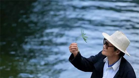 康美打造全景式纪录片《秘境神草》今日举行开播发布会