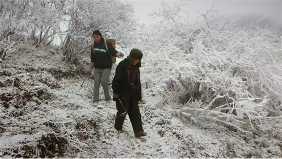 康美打造全景式纪录片《秘境神草》今日举行开播发布会