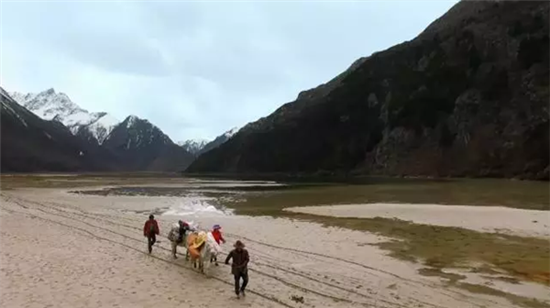 康美打造全景式纪录片《秘境神草》今日举行开播发布会