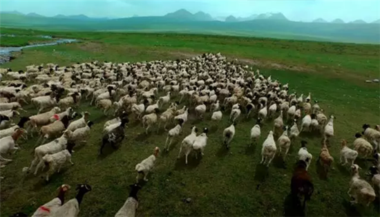 康美打造全景式纪录片《秘境神草》今日举行开播发布会