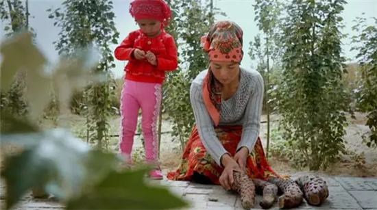 康美打造全景式纪录片《秘境神草》今日举行开播发布会