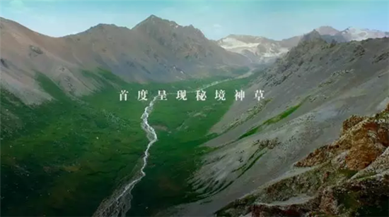 康美打造全景式纪录片《秘境神草》今日举行开播发布会