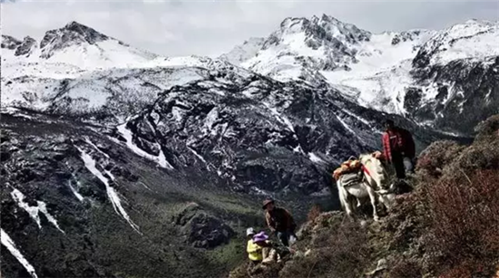 康美打造全景式纪录片《秘境神草》今日举行开播发布会
