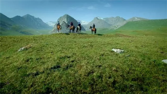 康美打造全景式纪录片《秘境神草》今日举行开播发布会