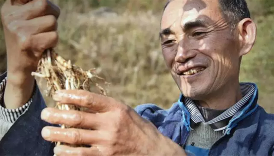 康美打造全景式纪录片《秘境神草》今日举行开播发布会