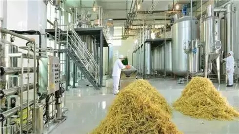 威海市文登区领导莅临金颐阳参观指导