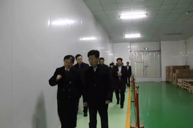 威海市文登区领导莅临金颐阳参观指导