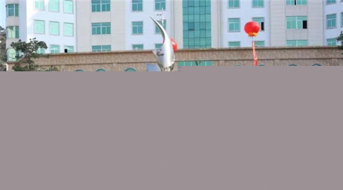 安发生物2017优秀经销商三都澳游