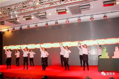 康美来君燕国际系统2017年业务启动大会盛大开幕