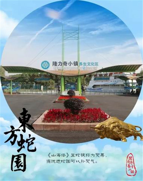 徐之伟欲打造更多隆力奇产业小镇