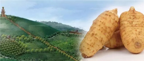 福能源出席直销企业保护消费者权益3•15高层座谈会