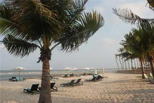 福维克2017泰国研讨会凯旋而归