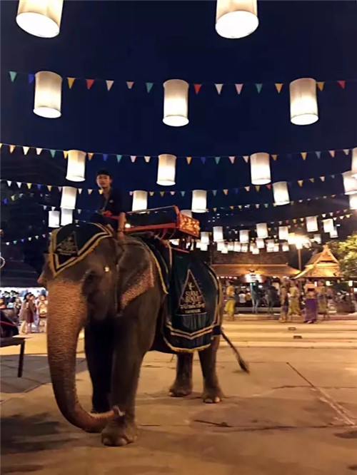 福维克2017泰国研讨会凯旋而归