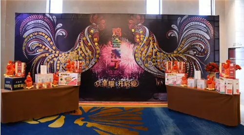 三八妇乐众生系统众爱体系江苏市场启航会圆满落幕