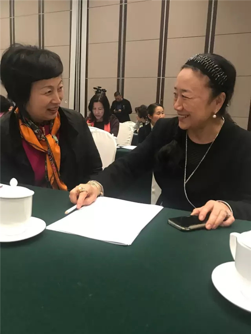 天士力控股集团吴迺峰总裁参加中国女企业家协会2017年工作会议