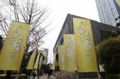 “应势而为 勇于担当”—2017罗麦科技新品发布会暨西南大区一季度表彰会