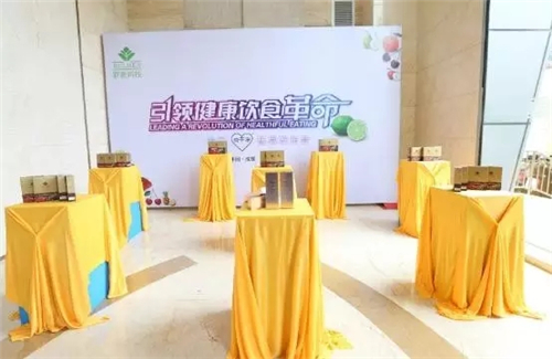 “应势而为 勇于担当”—2017罗麦科技新品发布会暨西南大区一季度表彰会