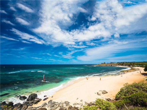 美媒：2000多名中国游客欲赴夏威夷集体遭拒签